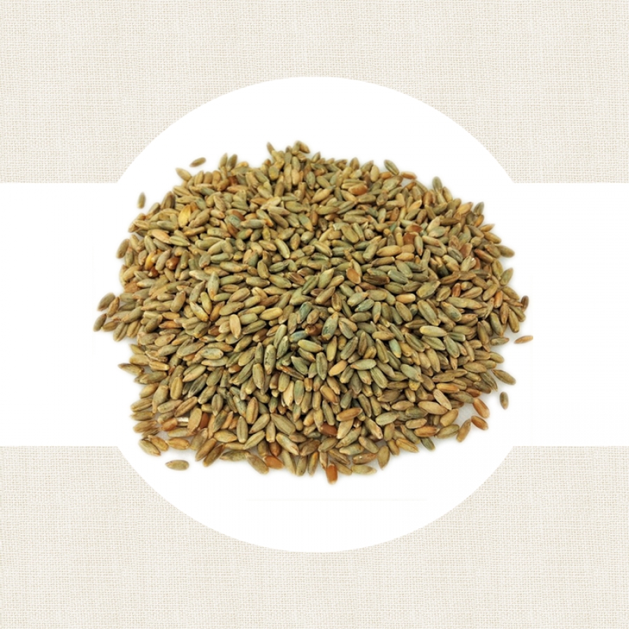 Seigle